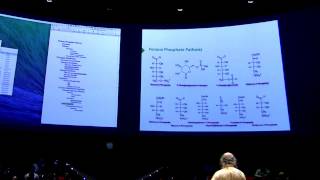 Pentose PhosphateGlycogen I  Kevin Aherns BB 450 Lecture 26 2016 [upl. by Myk]