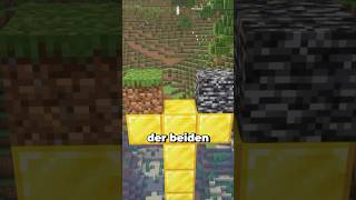 Die Größten UNTERSCHIEDE von Minecraft Java und Bedrock… minecraft minecraftshorts maggus [upl. by Pilihp]