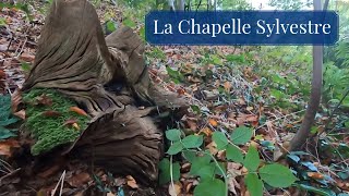 La Chapelle Sylvestre [upl. by Paten737]