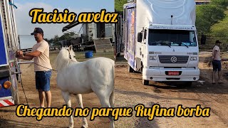 TACISIO AVELOZ CHEGANDO NO PARQUE RUFINA BORBA VAIDE BET PORTAL [upl. by Herwin]