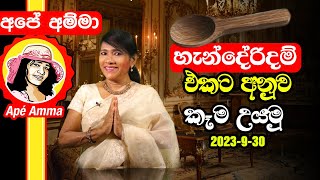 ✔ හැන්දේරිදම් එකට අනුව කෑම උයමු Cooking by Apé Amma shortened live stream [upl. by Eillom]