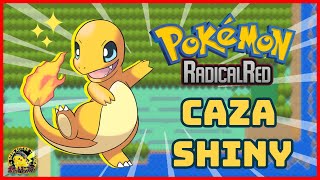 ✨DIRECTO BUSCANDO A CHARMANDER SHINY EN POKÉMON RADICAL RED  Gran Autor [upl. by Amabil20]