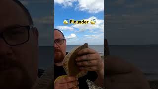 Flounder found fishing seafishinguk fish shorefishinguk beach fishinglife [upl. by Etnemelc]