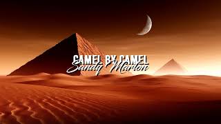 Sandy Marton  Camel by Camel Slowed [upl. by Anitnegra637]