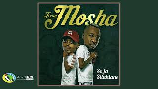 Team Mosha  Sebono Se Stout Feat Tsibibi Official Audio [upl. by Aremahs]