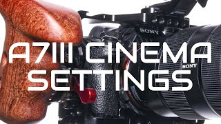 Sony A7III CINEMA  ALL settings for cinematic filmmaking FW 3102020 [upl. by Armmat423]