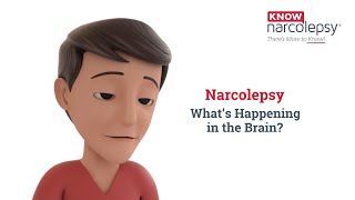 Narcolepsy What’s Happening in the Brain [upl. by Anna425]