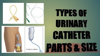 URINARY CATHETER TYPE PARTS USE RETENTION TIMESIZE  COLOUR CODE [upl. by Notelrahc]