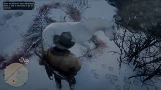 RDR2 Arabian White Coat best horse and quick method to capture it Shoot it [upl. by Eninej]