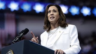 Kamala Harris la femme politique qui dérange la manosphère • FRANCE 24 [upl. by Llednek459]