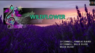 MAGICSING Karaoke BILLIE EILISH  WILDFLOWER karaoke  pop [upl. by Ahsaercal]