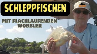 Abgrundtiefe Erfolge Schleppfischen mit flachlaufenden Ködern 🎣 🏆 [upl. by Niak802]