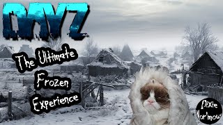 🥶🥶 Surviving the ULTIMATE SIBERIAN Zombie Apocalypse 🥶🥶 dayz survivalgame [upl. by Oringa]