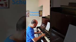 Piano Schwartzmann  afinação temperamento igual piano pianotuning schumann pianist [upl. by Atwahs331]