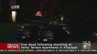 One Person Killed In Shooting At Aliquippa Apartment Complex [upl. by Eecak]