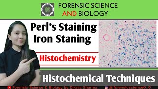 Histochemistry  Perls Reaction of Histochemical Method  Iron level Detection in Tissues [upl. by Marcellina60]