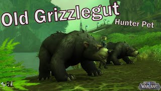 Old Grizzlegut  World of Warcraft Hunter Pet Guide Finding and Taming  ep 94 [upl. by Ecirtemed]