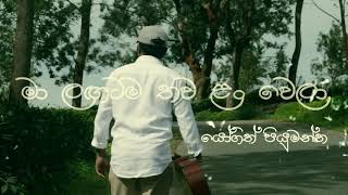 මා ලඟටම තව ළං වෙලා  Ma Lagatama Thawa Lan Wela  Cover by Yogith Piumantha [upl. by Lindeberg]