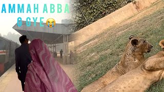 Ammah abba g chly gye😭 and Abdullah ka zoo visit [upl. by Eusadnilem]