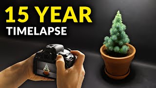 I Filmed Plants For 15 years  Timelapse Compilation [upl. by Eilegna]