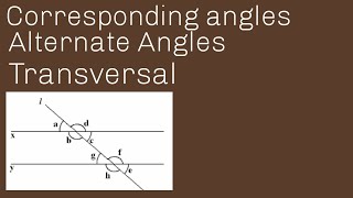 Corresponding AngleAlternate Angle Cointerior Angles Transversal UrduHindi Sir Nadeem Munawar [upl. by Arondel776]