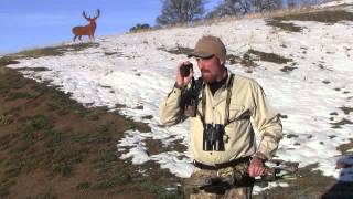 Crooked Horn  RF Hook Up BinoSystem and Rangefinder CaseHolster [upl. by Aitercul]