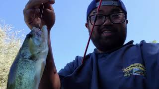 Bluegill FishingBack to The Basics [upl. by Fadiman]