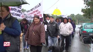 Luçon une marche pour le droit des animaux [upl. by Allemaj265]