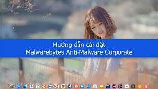 Hướng dẫn cài đặt Malwarebytes AntiMalware Corporate 18021012 [upl. by Evania]