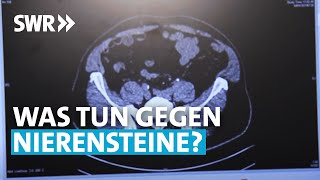 Mit der richtigen Ernährung gegen Nierensteine  Rundum gesund [upl. by Tibbs486]