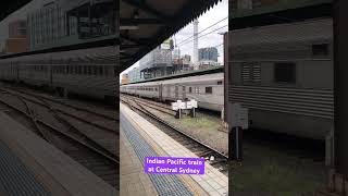 Indian Pacific train at Central station Sydney [upl. by Male105]