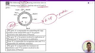 The following diagram showing restriction sites inEcoli cloning vector pBR322 Find the role [upl. by Conners]