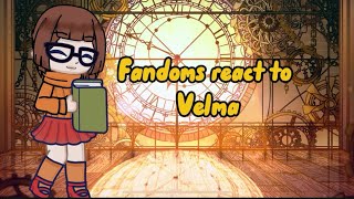 Fandoms react to Velma scooby doo gacha gachareact scoobydoo velma [upl. by Euqininod]