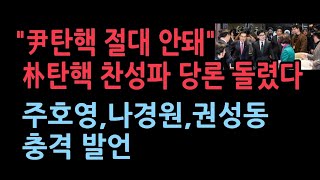 내일 윤대통령 탄핵 표결 박근혜 탄핵 찬성파가 당론 돌렸다 주호영 나경원 권성동 유영하의 충격 발언 [upl. by Ahsirak]