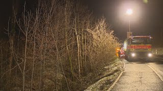 Langnau am Albis ZH Auto stürzt in Tobel [upl. by Coe]