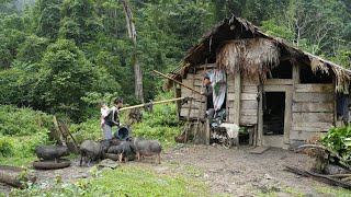 Restore a Single Mom Abandoned Farm Clean up the garden  EP 01 [upl. by Mendelson]