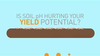 Maintain Soil pH with 98G Pelletized Limestone [upl. by Jameson]