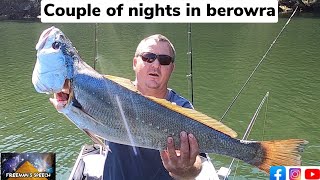 Hawkesbury river jewfish couple of nights in berowra [upl. by Feirahs878]