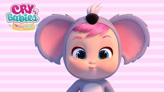 🐨 KOALI 🐨 CRY BABIES 💧 MAGIC TEARS 💕 Épisodes COMPLETS ✨ Vidéo Longue pour ENFANTS en Français ☀️ [upl. by Scevo]