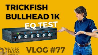 TRICKFISH BULLHEAD 1K Verstärker DI amp EQ TEST  VLOG 77 [upl. by Ahcurb]