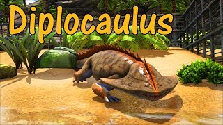 Diplocaulus Educational Special 33 [upl. by Maunsell]