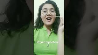 Phycomycetes 💚botany mnemonic neet tricks neetpreparation [upl. by Atinuhs]