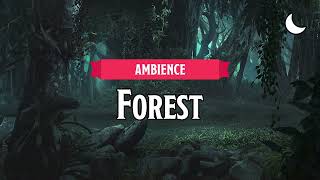 Forest Night  DampDTTRPG Ambience  1 Hour [upl. by Boccaj806]