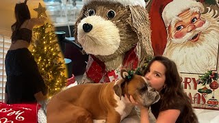 decorating for christmas vlog  Jules LeBlanc [upl. by Ennavoj451]