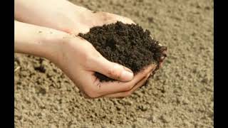 What is Loam Soil [upl. by Barger]