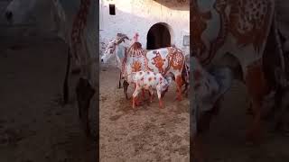 Kanha ji  hmaro pyaro vrindavan ❤️❤️ [upl. by Redmond]