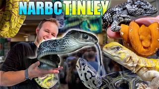 The RAREST Reptiles at TINLEY PARK NARBC 2024 [upl. by Styles]