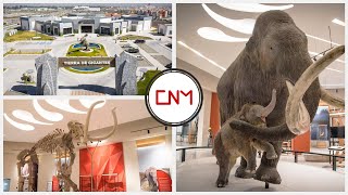 Más hallazgos de Mamut en el AIFA se inaugurará este año el Museo Quinamétzin [upl. by Bowrah]