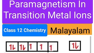 Paramagnetism In Transition Metal Ionsclass12chemistry [upl. by Winson]