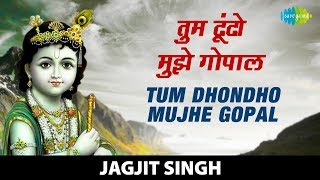 Tum Dhondho Mujhe Gopal  तुम ढूंढो मुझे गोपाल  Krishna Bhajan  कृष्णा भजन Jagjit Singh [upl. by Atinomar]